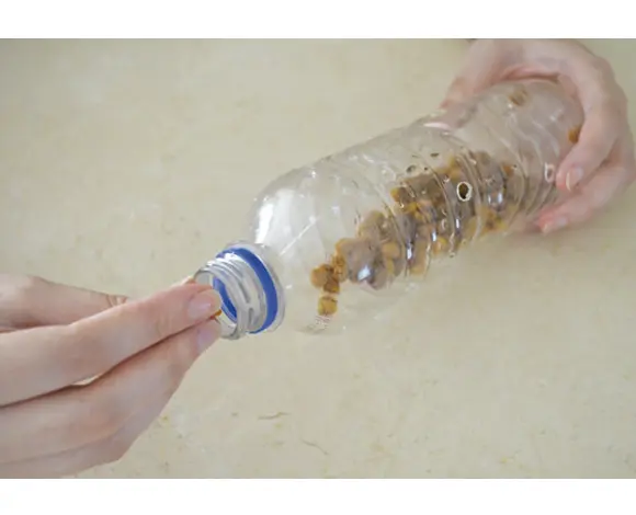 Coloque uma quantidade de ração ou petiscos dentro da garrafa 